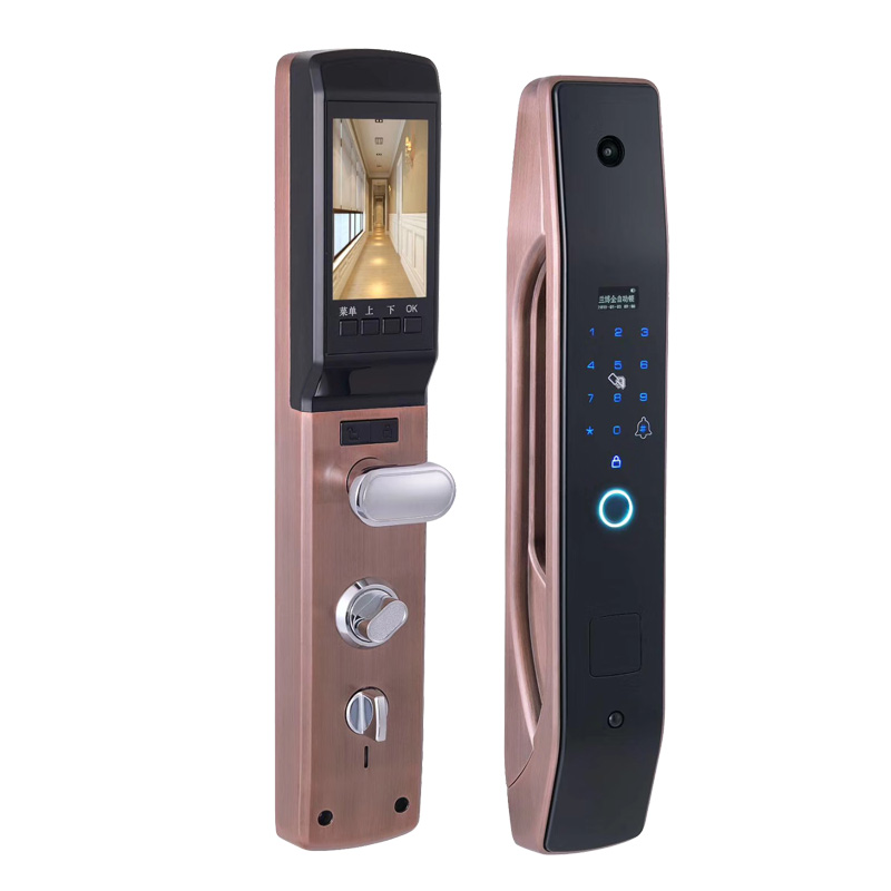 Smart Home Door Lock - HanDaily Einfach zu installierendes intelligentes elektronisches