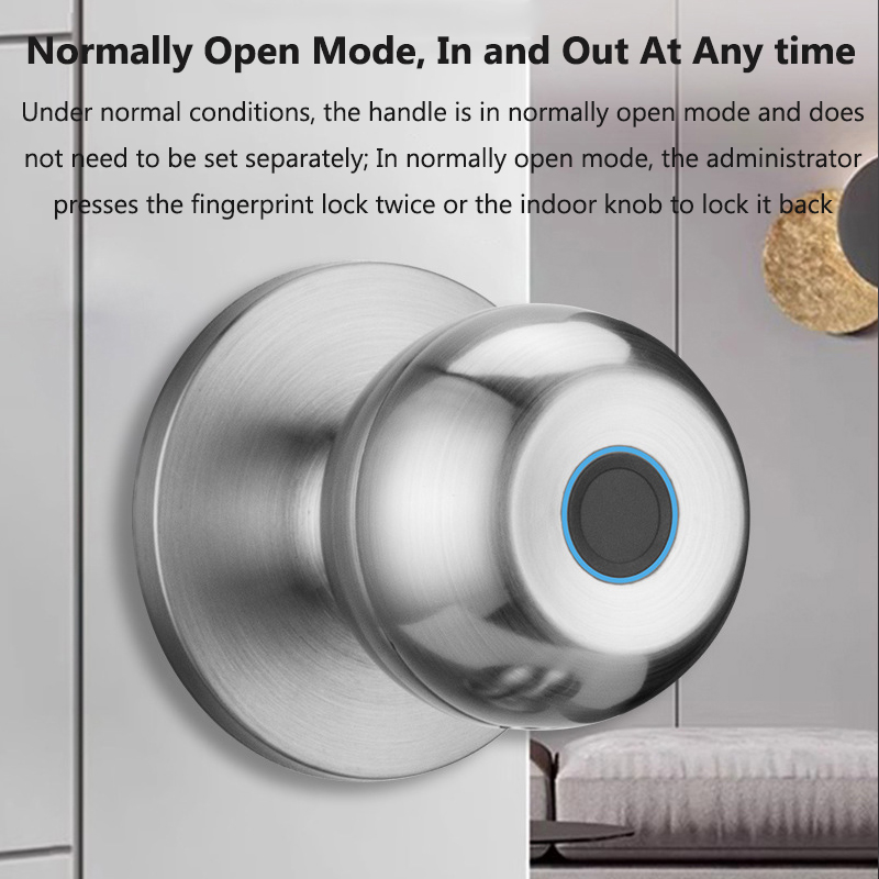 Tuya Türschloss Smart-Fingerpr – Smart Home Door Lock Bewertung und Preis